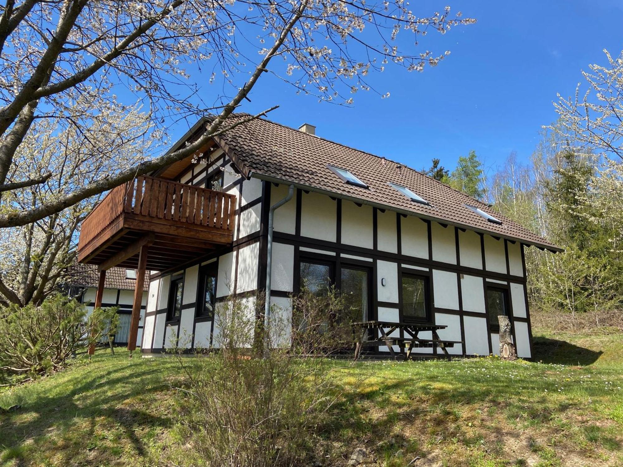 Ferienwohnung Mimo Direkt Am Waldrand Frankenau Zewnętrze zdjęcie